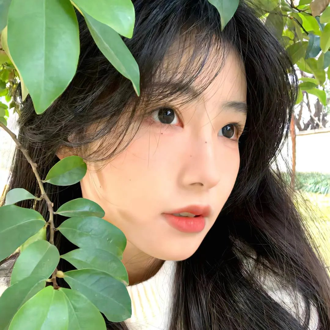 靓妹闯情关